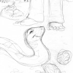 Ruff-Snake&Snail756