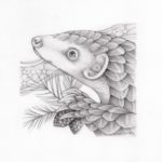 Pangolin Portrait (2018)