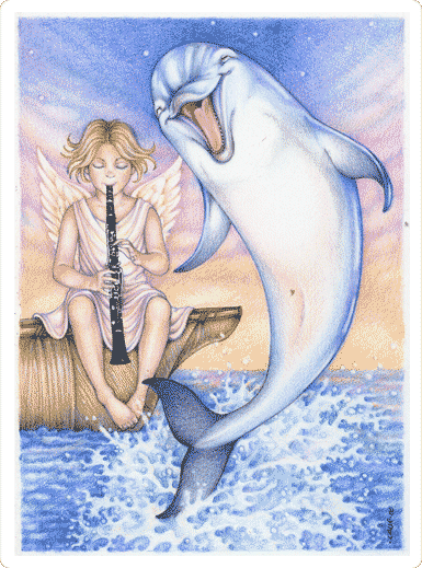 Dancing Dolphin Patterns