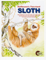 Sloth