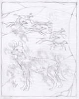 Cave Painting<br/>Pencil Rough