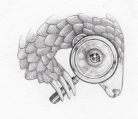 Pangolin w/ Magnifying Glass<br/>Rough Pencil