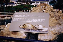 Seal Sign