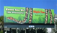 Alligator Farm Billboard