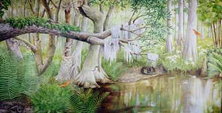 Florida Swamp (left panel)