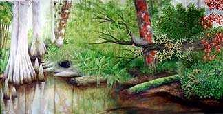 Florida Swamp (right panel)