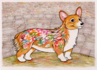 Welsh Painted Corgi